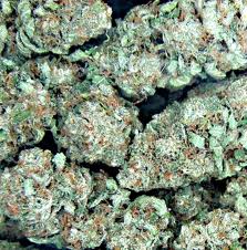 sour apples marijuana seeds