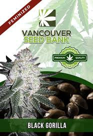 Vancouver Marijuana Seeds