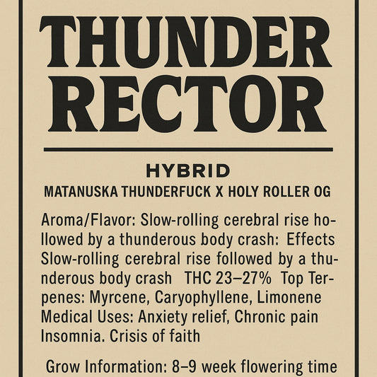 Thunder Rector