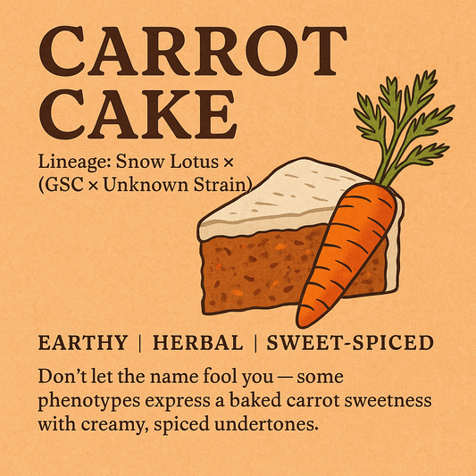Carrot Cake