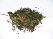 Dream Herb Extracts (Calea Zacatechich)