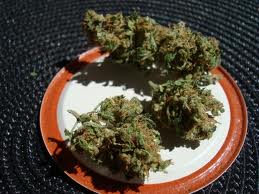 Chandellear marijuana seeds