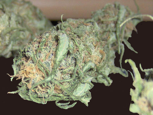 Huron cannabis seeds