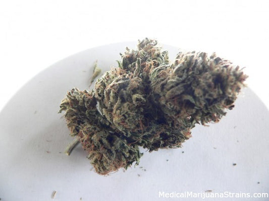 Moolah marijuana seeds