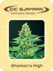 Shamans high marijuana seeds