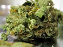 Bling marijuana seeds