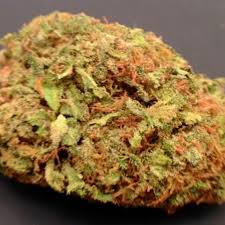 Oracle Bud marijuana seeds