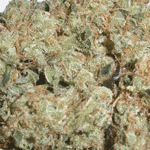 Chem Dawg marijuana seeds