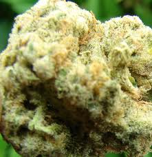 Grape Stomper marijuana seeds