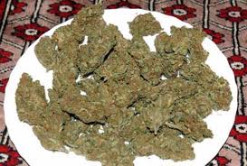 Green Giant marijuana seeds