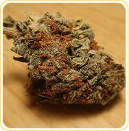 Mountain cush marijuana seeds