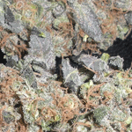 Sour Diesel marijuana seeds
