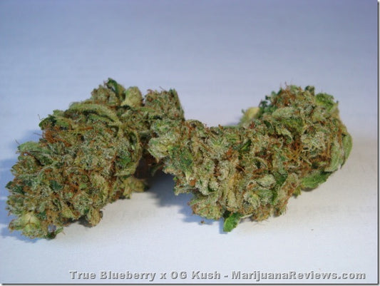 True Blueberry Og Kush marijuana seeds